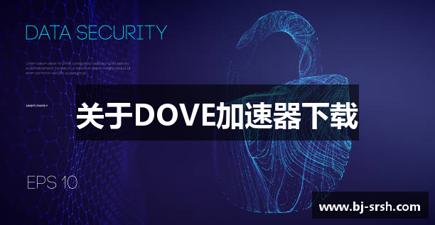 关于DOVE加速器下载
